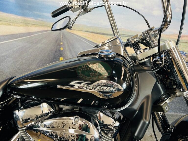 Shadow 750 2006 Michel_3