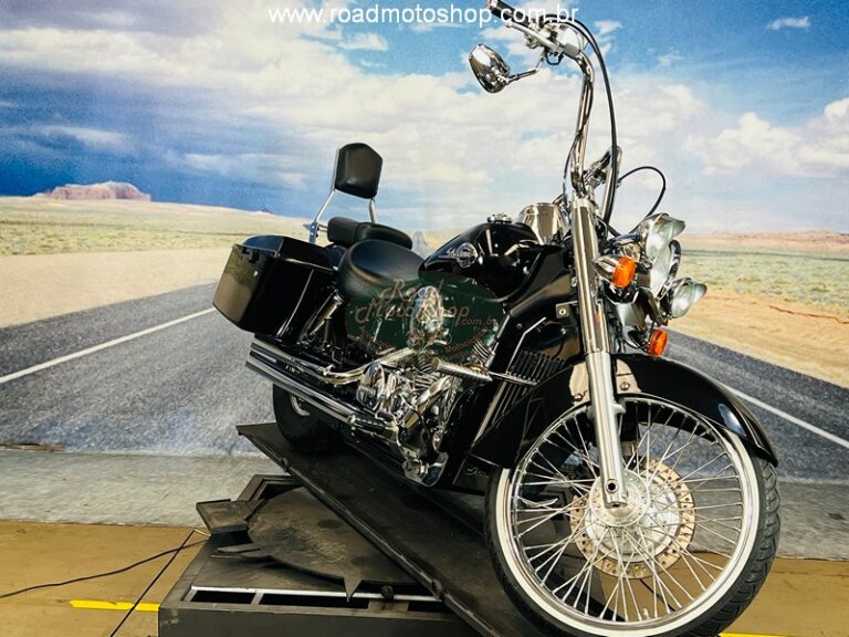 Shadow 750 2006 Michel_6