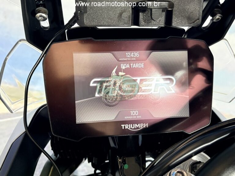 TIGER 900RALLY_17
