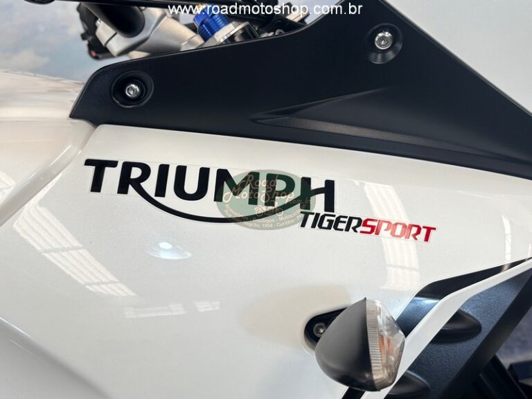 Triumph 1050 branca_15