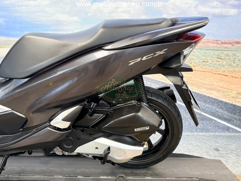PCX 150 CINZA ERICK_12
