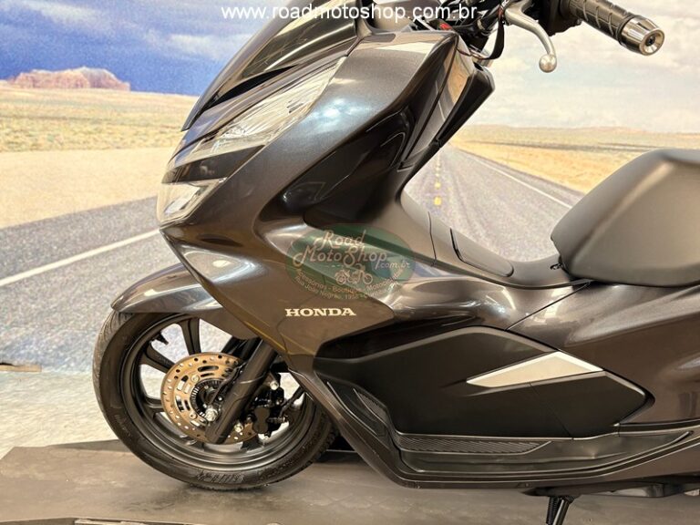 PCX 150 CINZA ERICK_13