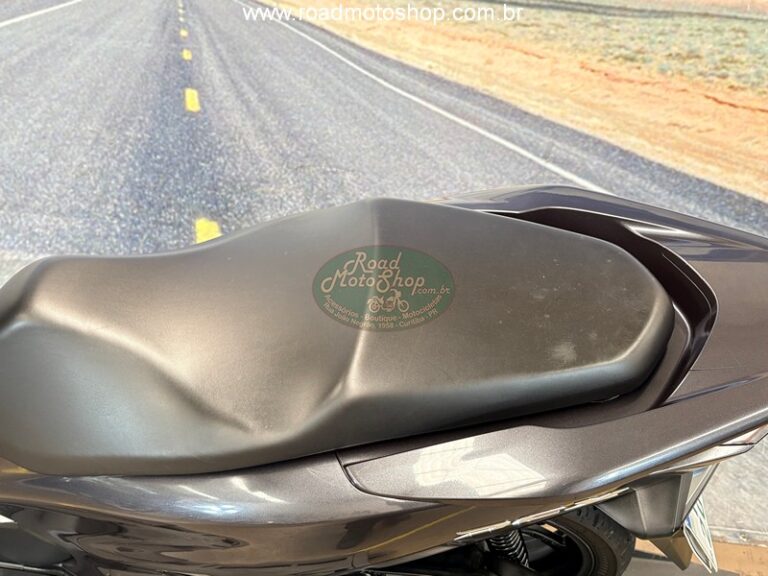 PCX 150 CINZA ERICK_15