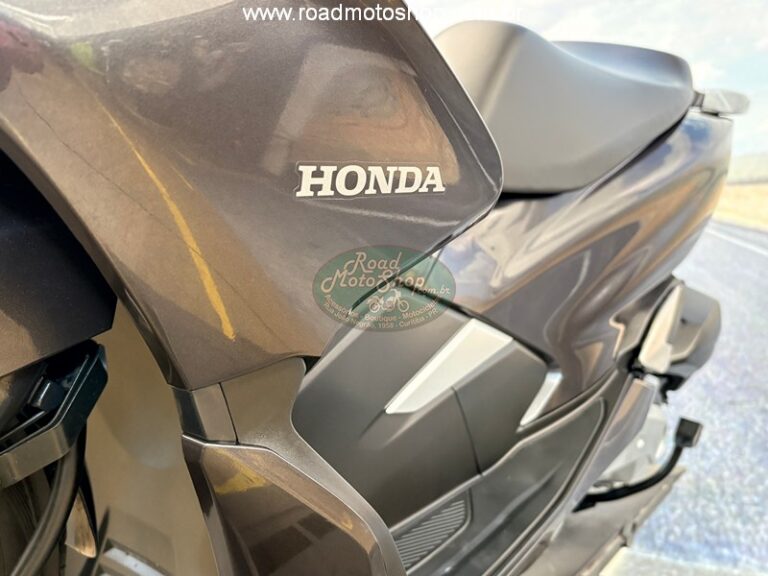 PCX 150 CINZA ERICK_20